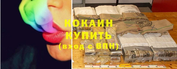 Альфа ПВП Инсар