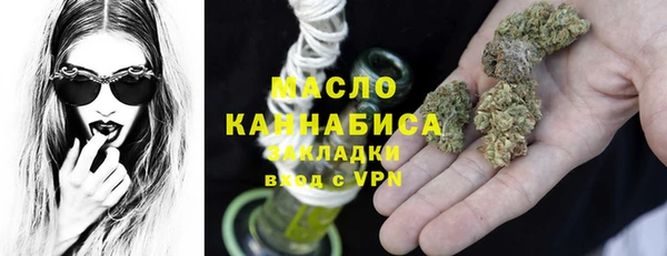 Альфа ПВП Инсар