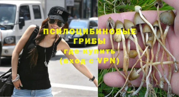 Альфа ПВП Инсар
