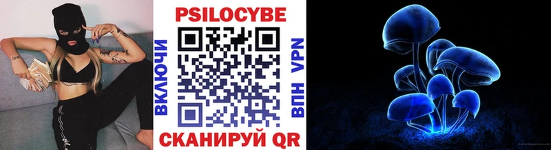 Купить где  Губкинский  Галлюциногенные грибы ЛСД 
